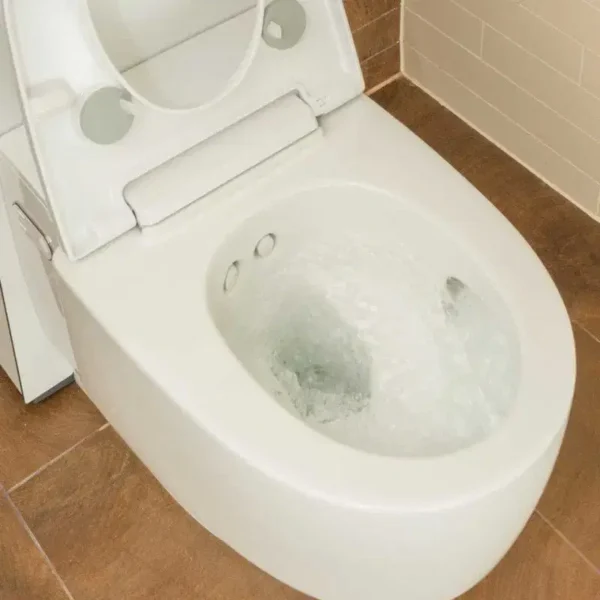 Geberit – AquaClean Mera Care - Image 3